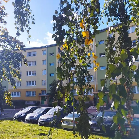 Magvel Jasna